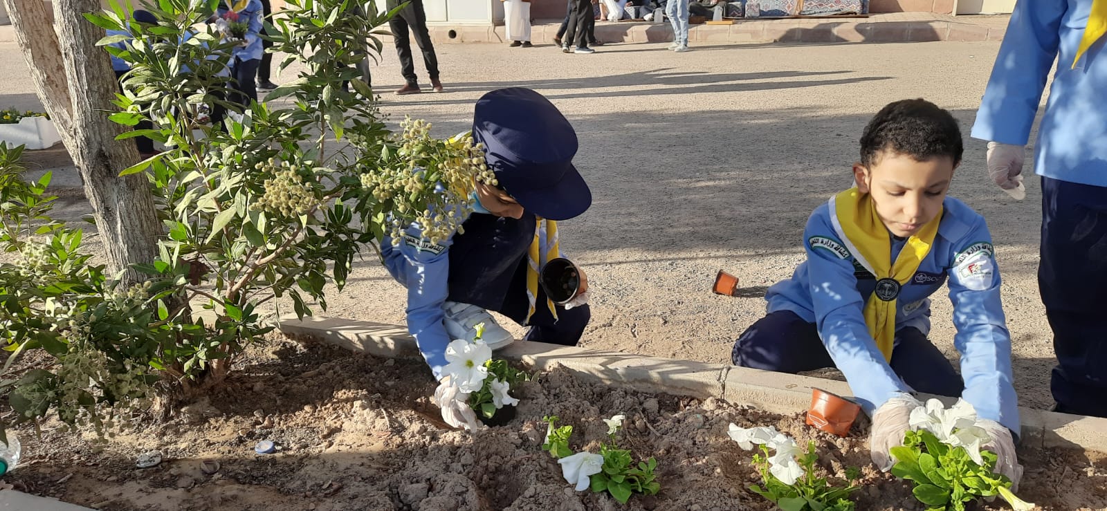 يوم التطوع
